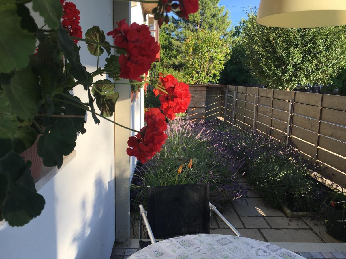 Szelrozsa Apartmanhaz Velence Eksteriør billede